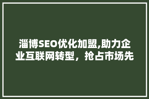 淄博SEO优化加盟,助力企业互联网转型，抢占市场先机