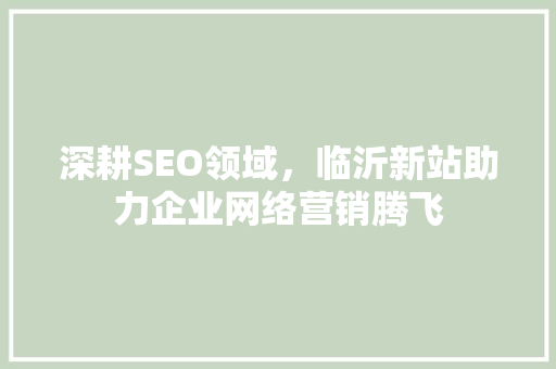 深耕SEO领域，临沂新站助力企业网络营销腾飞