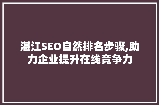 湛江SEO自然排名步骤,助力企业提升在线竞争力