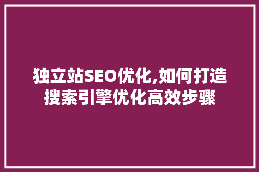 独立站SEO优化,如何打造搜索引擎优化高效步骤