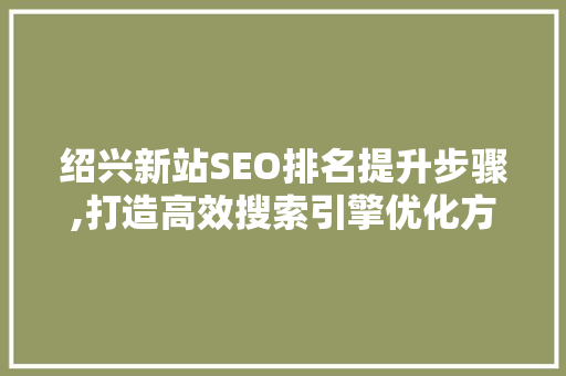 绍兴新站SEO排名提升步骤,打造高效搜索引擎优化方法