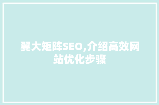 翼大矩阵SEO,介绍高效网站优化步骤