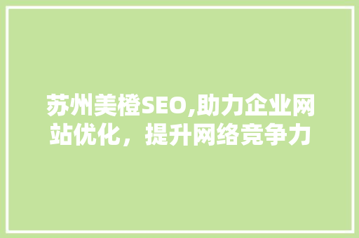 苏州美橙SEO,助力企业网站优化，提升网络竞争力