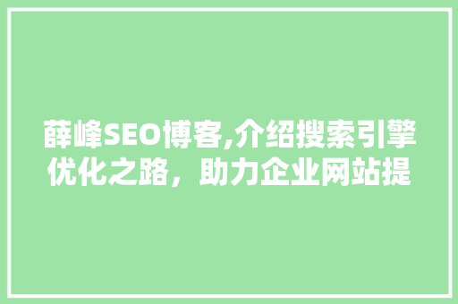 薛峰SEO博客,介绍搜索引擎优化之路，助力企业网站提升排名