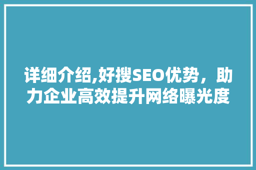 详细介绍,好搜SEO优势，助力企业高效提升网络曝光度