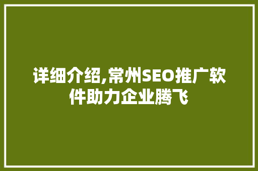 详细介绍,常州SEO推广软件助力企业腾飞