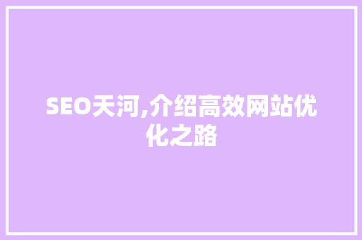 SEO天河,介绍高效网站优化之路