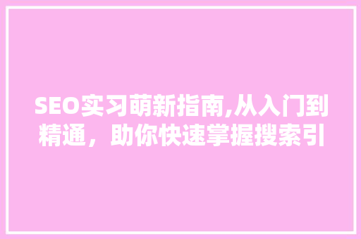 SEO实习萌新指南,从入门到精通，助你快速掌握搜索引擎优化方法