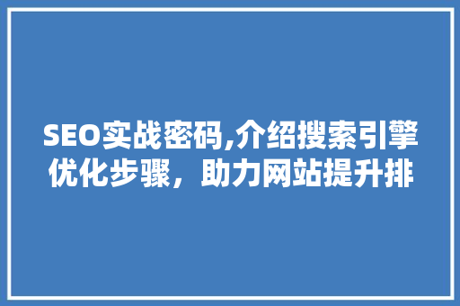 SEO实战密码,介绍搜索引擎优化步骤，助力网站提升排名