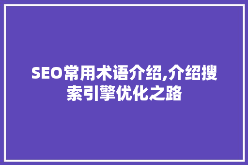 SEO常用术语介绍,介绍搜索引擎优化之路