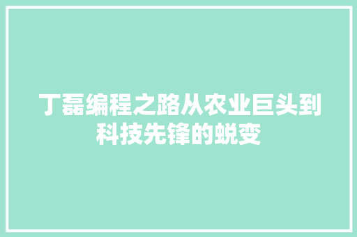 丁磊编程之路从农业巨头到科技先锋的蜕变