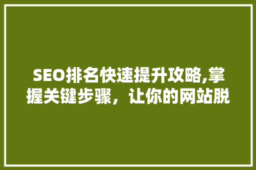 SEO排名快速提升攻略,掌握关键步骤，让你的网站脱颖而出