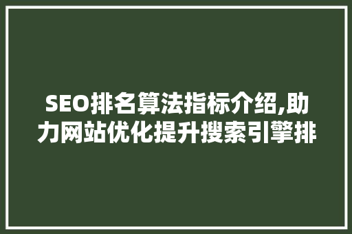SEO排名算法指标介绍,助力网站优化提升搜索引擎排名