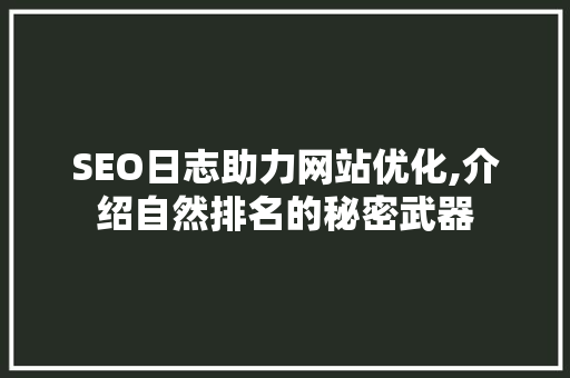 SEO日志助力网站优化,介绍自然排名的秘密武器