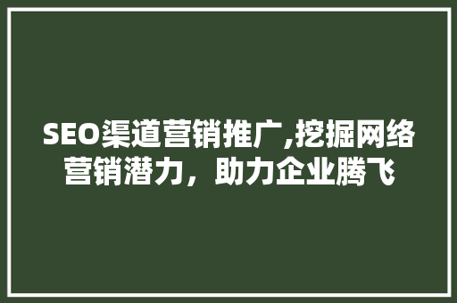 SEO渠道营销推广,挖掘网络营销潜力，助力企业腾飞
