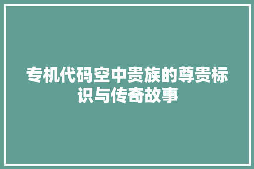 专机代码空中贵族的尊贵标识与传奇故事