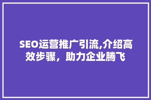 SEO运营推广引流,介绍高效步骤，助力企业腾飞