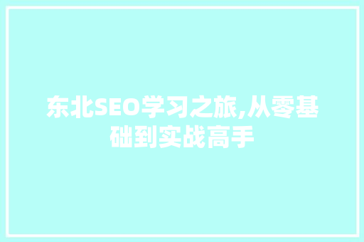 东北SEO学习之旅,从零基础到实战高手
