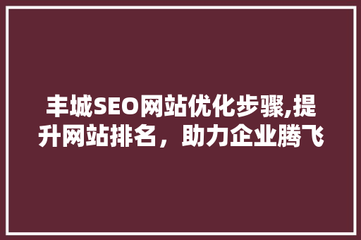 丰城SEO网站优化步骤,提升网站排名，助力企业腾飞