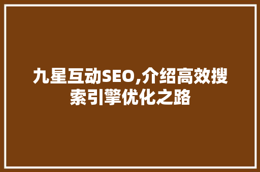 九星互动SEO,介绍高效搜索引擎优化之路