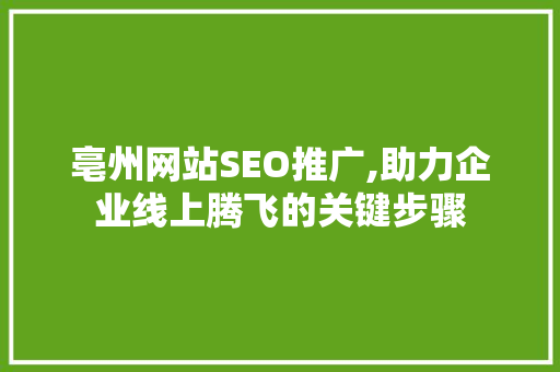 亳州网站SEO推广,助力企业线上腾飞的关键步骤