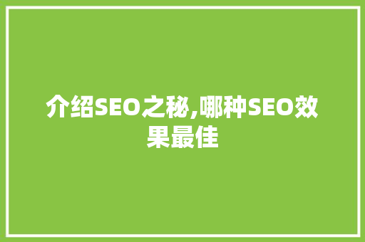 介绍SEO之秘,哪种SEO效果最佳