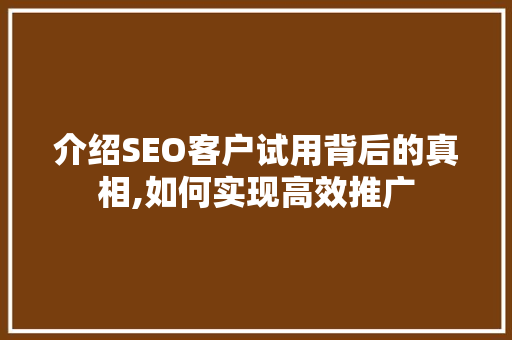 介绍SEO客户试用背后的真相,如何实现高效推广  第1张