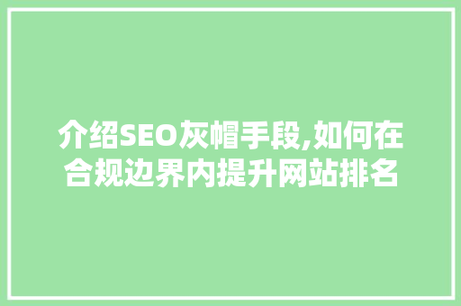 介绍SEO灰帽手段,如何在合规边界内提升网站排名