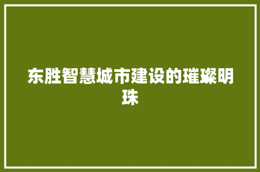 东胜智慧城市建设的璀璨明珠