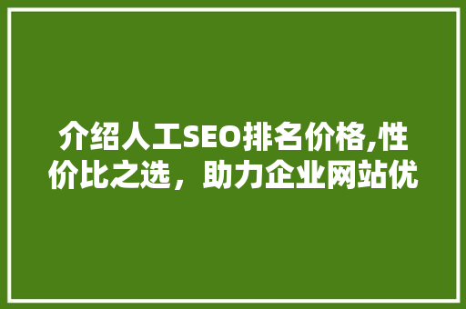 介绍人工SEO排名价格,性价比之选，助力企业网站优化