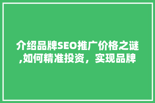 介绍品牌SEO推广价格之谜,如何精准投资，实现品牌价值最大化