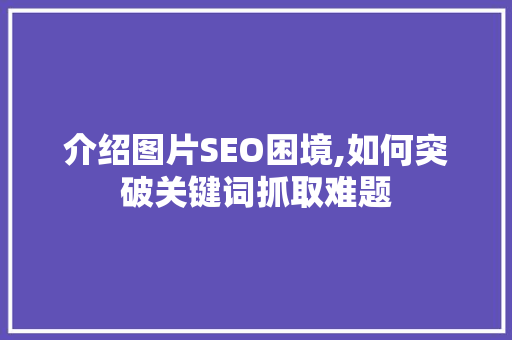 介绍图片SEO困境,如何突破关键词抓取难题