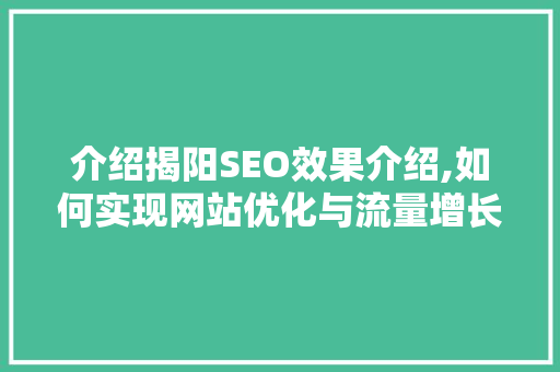 介绍揭阳SEO效果介绍,如何实现网站优化与流量增长