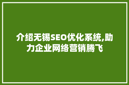 介绍无锡SEO优化系统,助力企业网络营销腾飞