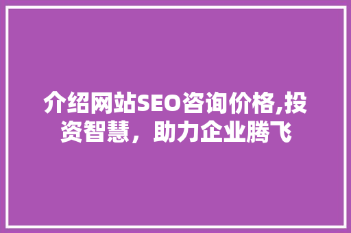 介绍网站SEO咨询价格,投资智慧，助力企业腾飞