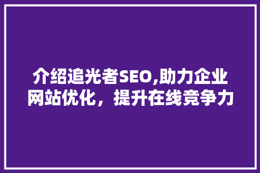 介绍追光者SEO,助力企业网站优化，提升在线竞争力