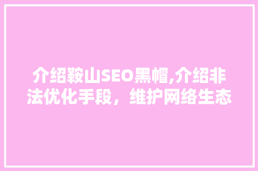 介绍鞍山SEO黑帽,介绍非法优化手段，维护网络生态平衡