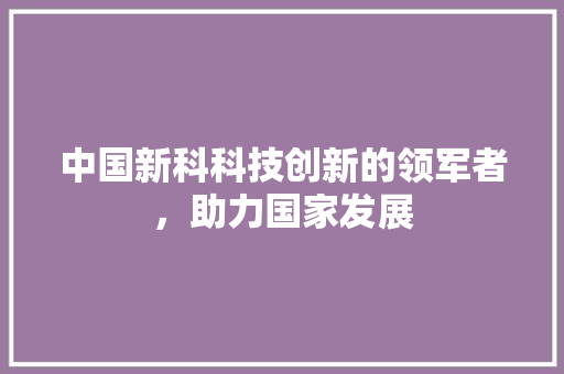中国新科科技创新的领军者，助力国家发展