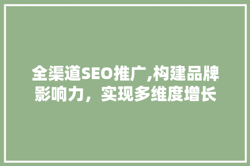 全渠道SEO推广,构建品牌影响力，实现多维度增长