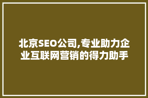 北京SEO公司,专业助力企业互联网营销的得力助手
