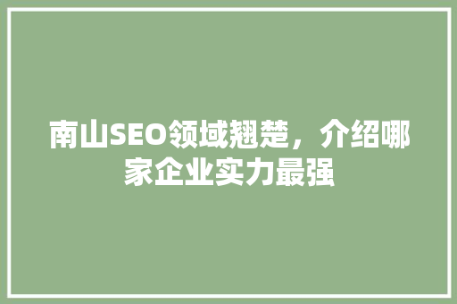 南山SEO领域翘楚，介绍哪家企业实力最强