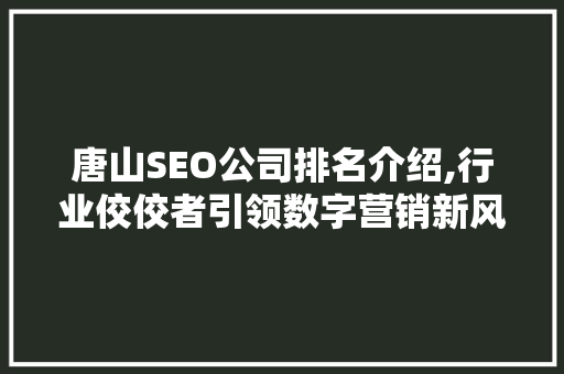 唐山SEO公司排名介绍,行业佼佼者引领数字营销新风向
