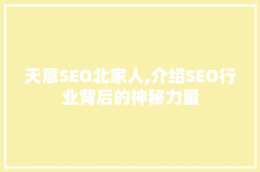 天意SEO北家人,介绍SEO行业背后的神秘力量