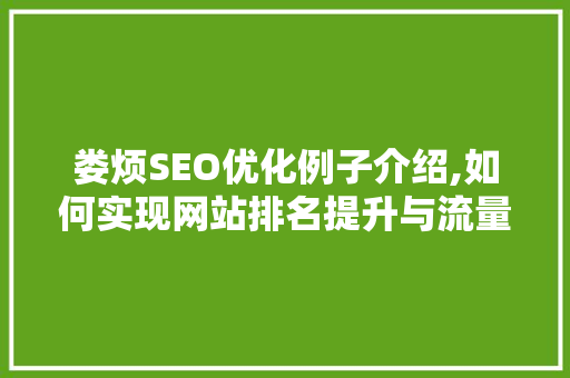 娄烦SEO优化例子介绍,如何实现网站排名提升与流量增长