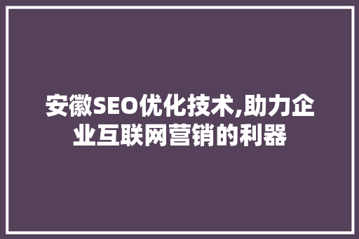 安徽SEO优化技术,助力企业互联网营销的利器