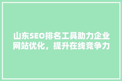 山东SEO排名工具助力企业网站优化，提升在线竞争力