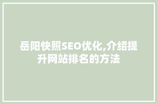 岳阳快照SEO优化,介绍提升网站排名的方法