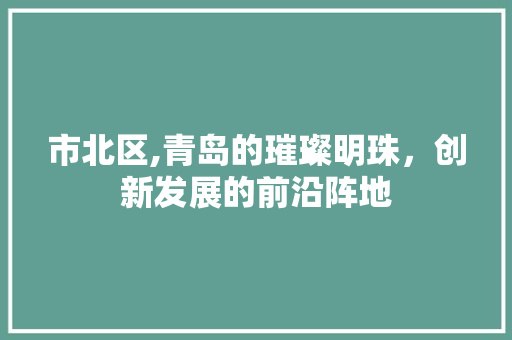 市北区,青岛的璀璨明珠，创新发展的前沿阵地