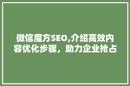 微信魔方SEO,介绍高效内容优化步骤，助力企业抢占流量高地