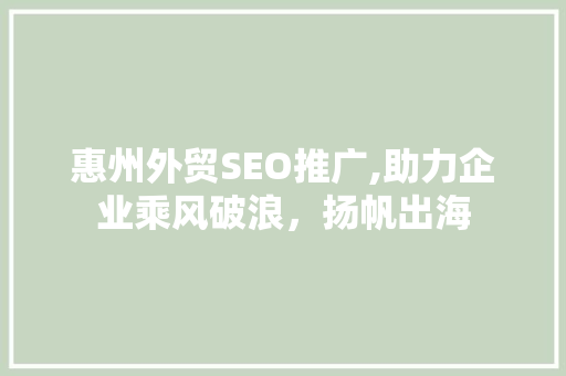 惠州外贸SEO推广,助力企业乘风破浪，扬帆出海